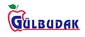 MiConv.com__ce91ff_1da86421710d4bd2bfecea3fbc37167f_mv2